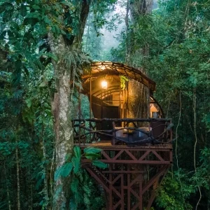 Treehouse lodge in the rainforest of Boca Tapada, Costa Rica at twilight