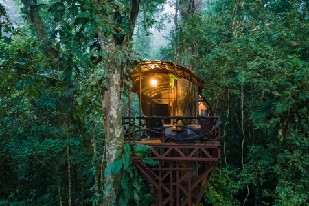 Arrive in San Jose, transfer to Maquenque Lodge | Boca Tapada