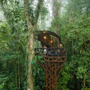 elevated jungle treehouse lodge in the rainforest of boca tapada costa rica