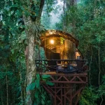 Treehouse lodge in the rainforest of Costa Rica