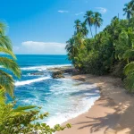 Tropical beach with palm trees and turquoise water in Costa Rica