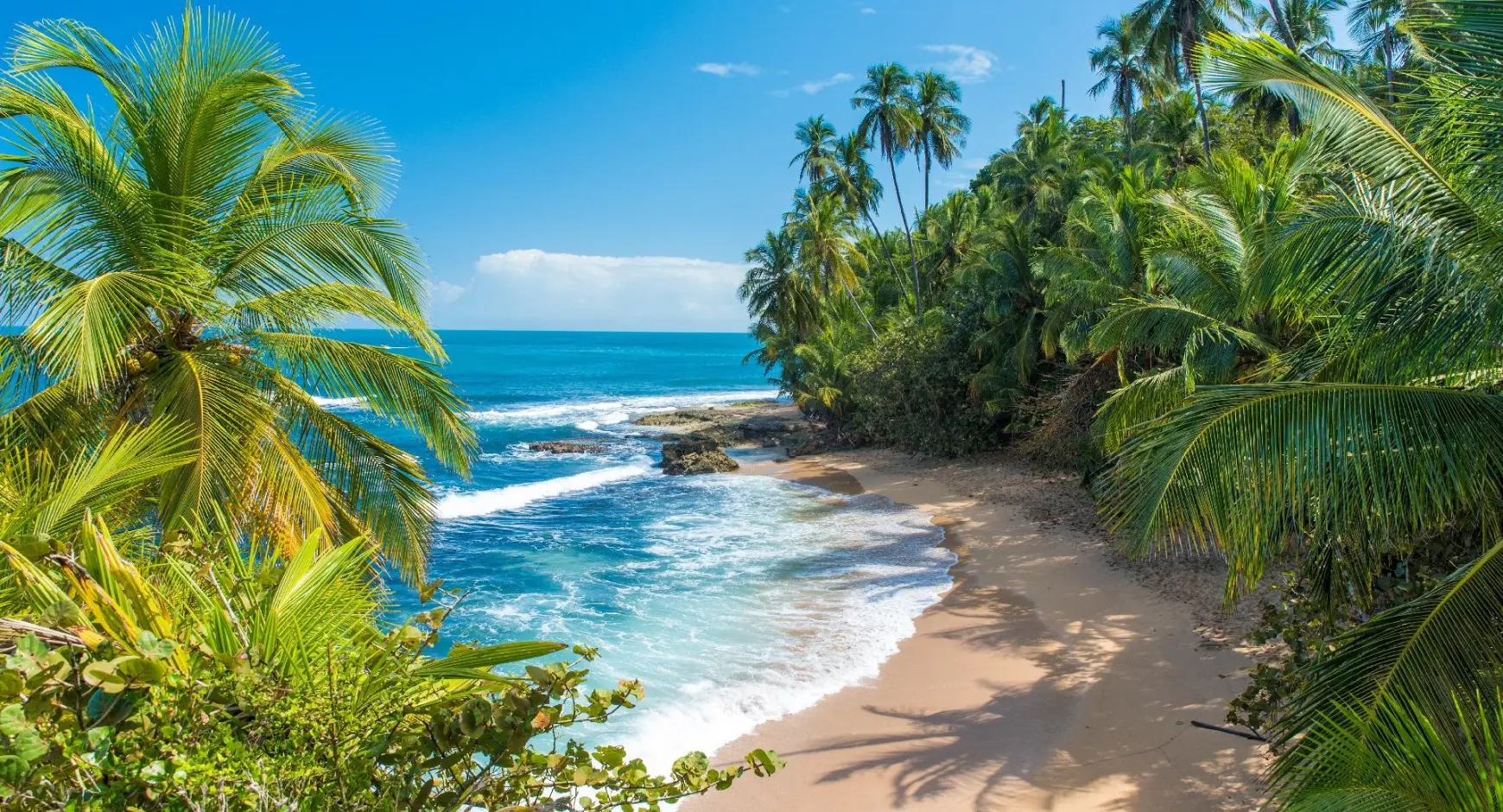 Tropical beach with palm trees and turquoise water in Costa Rica