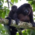 green season in costa rica