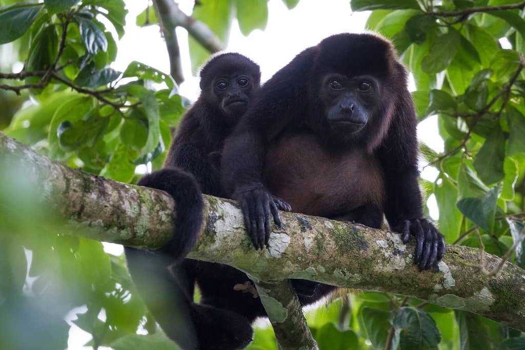 green season in costa rica