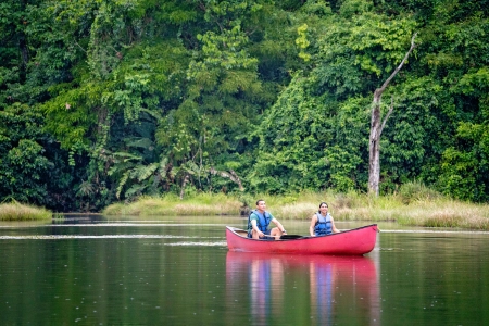 Arrive in San Jose, transfer to Maquenque Lodge | Boca Tapada