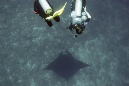 Discover Scuba Diving in Playa Hermosa Costa Rica