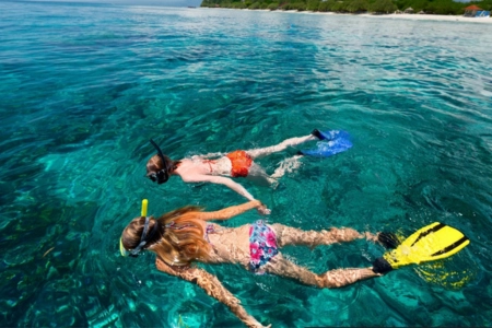 Full Day Cahuita Snorkeling, Hike + Sloth Sanctuary