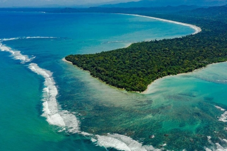 Full Day Cahuita Snorkeling, Hike + Sloth Sanctuary