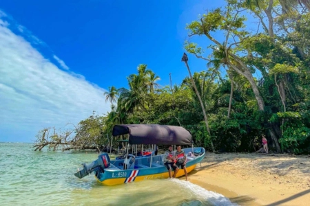 Full Day Cahuita Snorkeling, Hike + Sloth Sanctuary