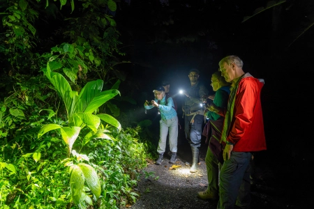 San Carlos River Boat Tour and Boca Tapada Night Walk