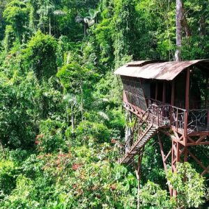 Tree house in Costa rica