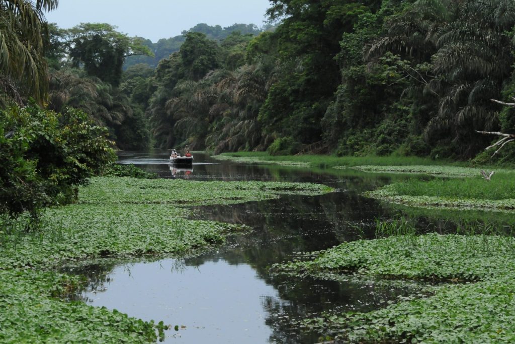 Tortuguero