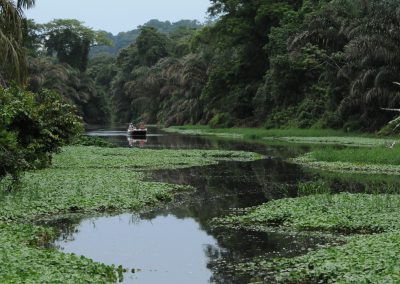 Tortuguero Canals