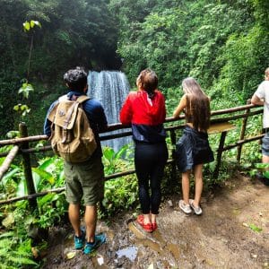 El Tigre Waterfall Monteverde