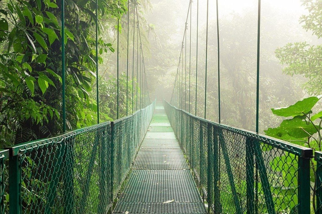 Journey to Monteverde Cloud Forest