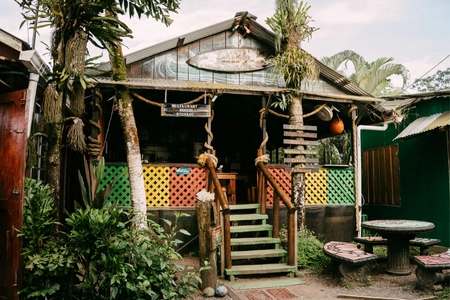 Boat Tour in the Tortuguero Canals