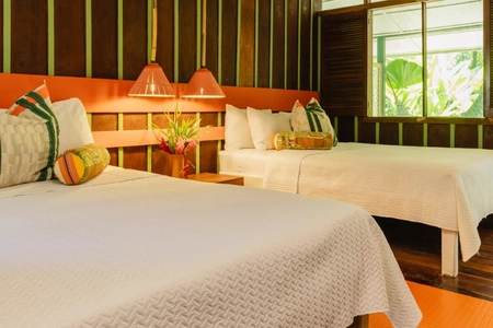 Transfer to Mawamba Lodge | Tortuguero