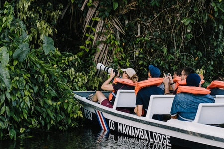 Boat Tour in the Tortuguero Canals