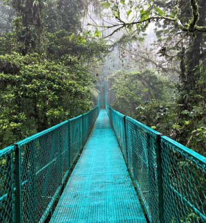 Monteverde Monteverde