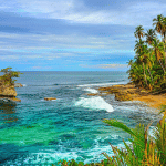 Puerto Viejo - Manzanillo