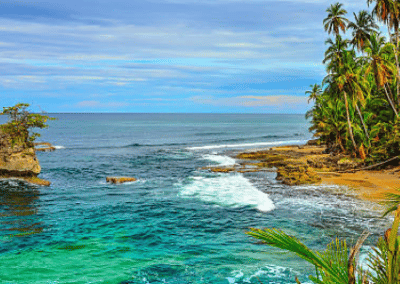 Puerto Viejo - Manzanillo