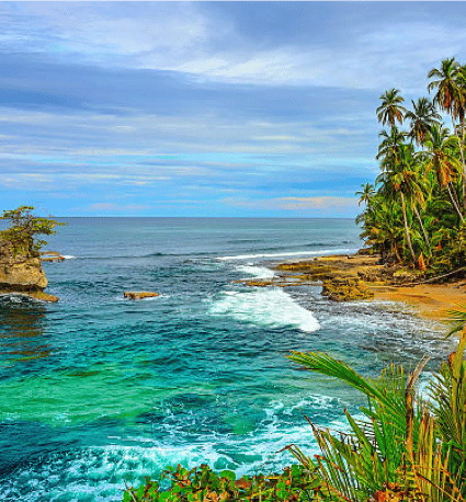 Puerto Viejo - Manzanillo