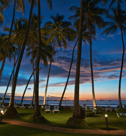 Tamarindo - Avellanas