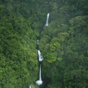 La Paz Waterfall Garden Central Valley