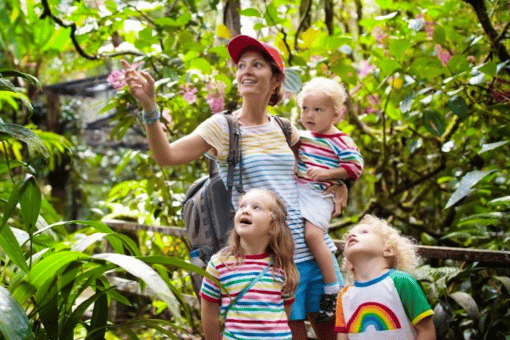 Costa Rica Vacation Packages Costa Rica Vacation Packages