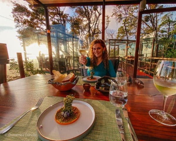 Gourmet Dining Tree Top Canopy Experience in Monteverde