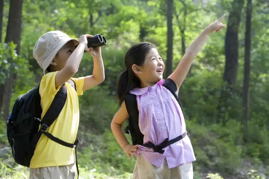 You can enjoy birdwatching during the rainy season in Costa Rica.