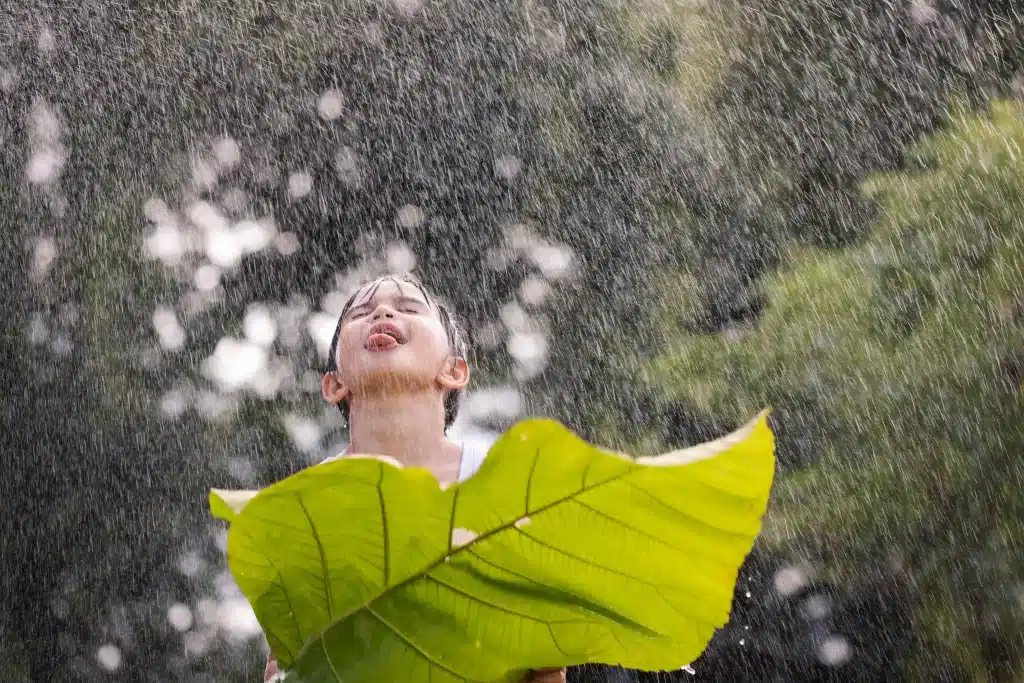 There are many pros to visiting Costa Rica during the rainy or green season.