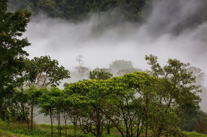 Discover why the rainy season is one of the best times to visit Costa Rica!