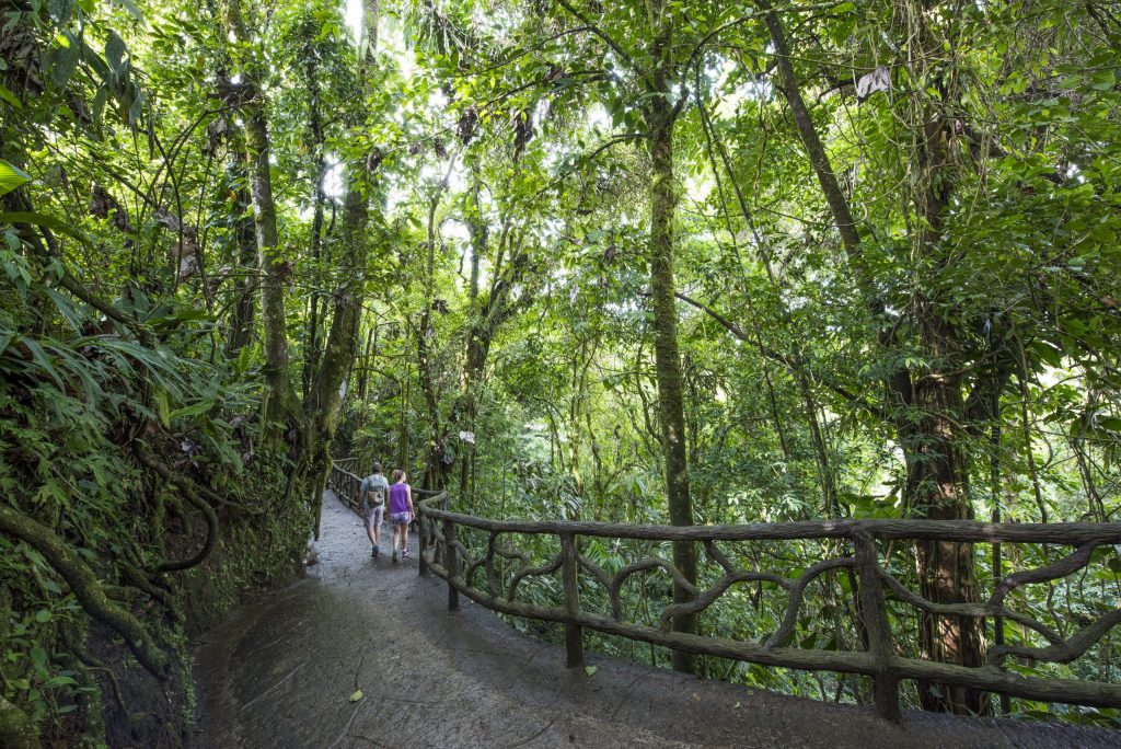 Arenal