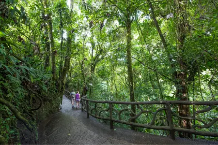 Arenal Hanging Bridges Tour