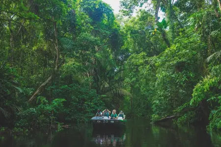 Boat Tour in the Tortuguero Canals