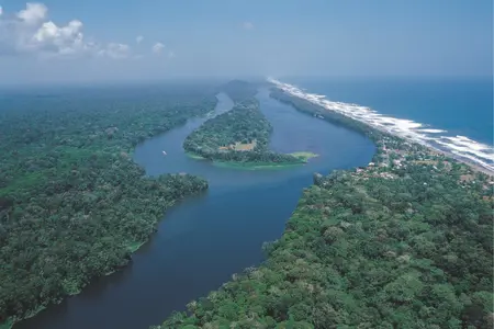 Boat Tour in the Tortuguero Canals