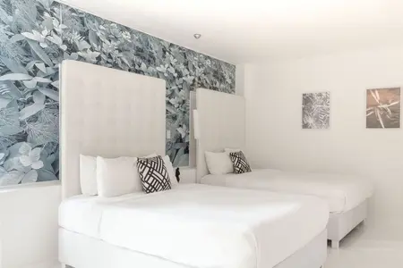 Transfer to Le Cameleon Hotel | Puerto Viejo