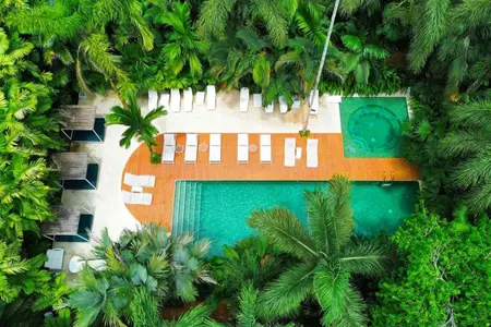 Transfer to Le Cameleon Hotel | Puerto Viejo