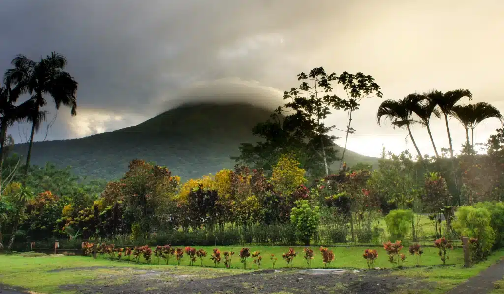 Most national parks in Costa Rica are home to endangered species. Arenal Volcano National Park is one of them.