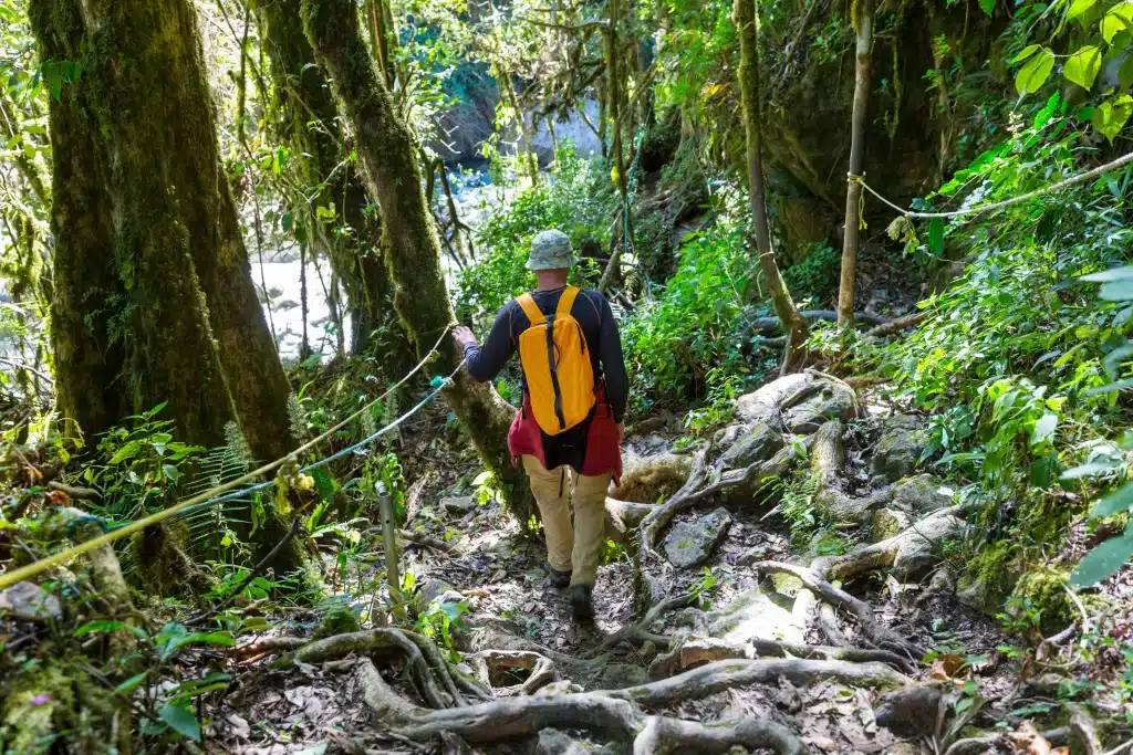 Hike in Costa Rica and enjoy the lush tropical rainforest.