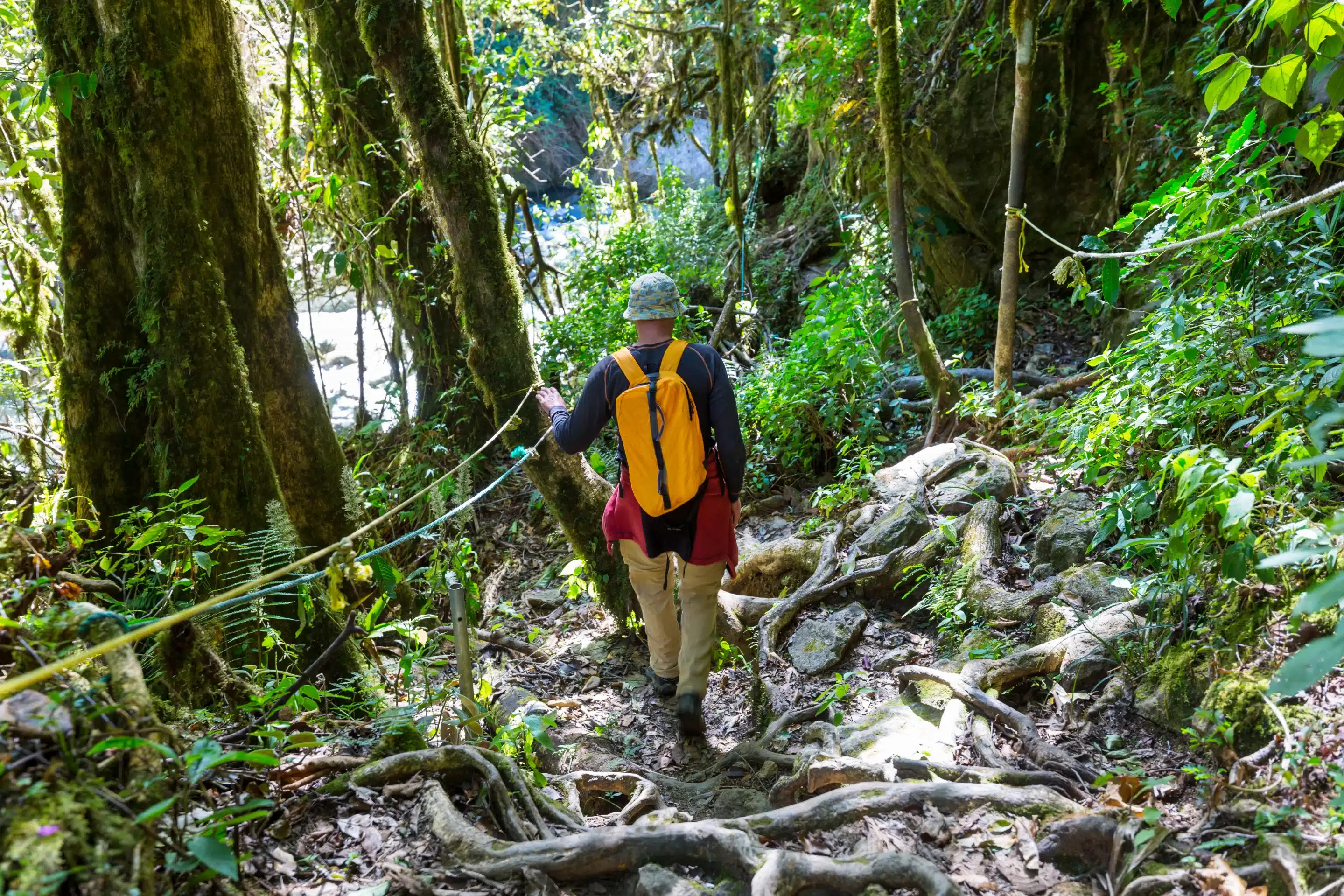 Hanging bridges Costa Rica