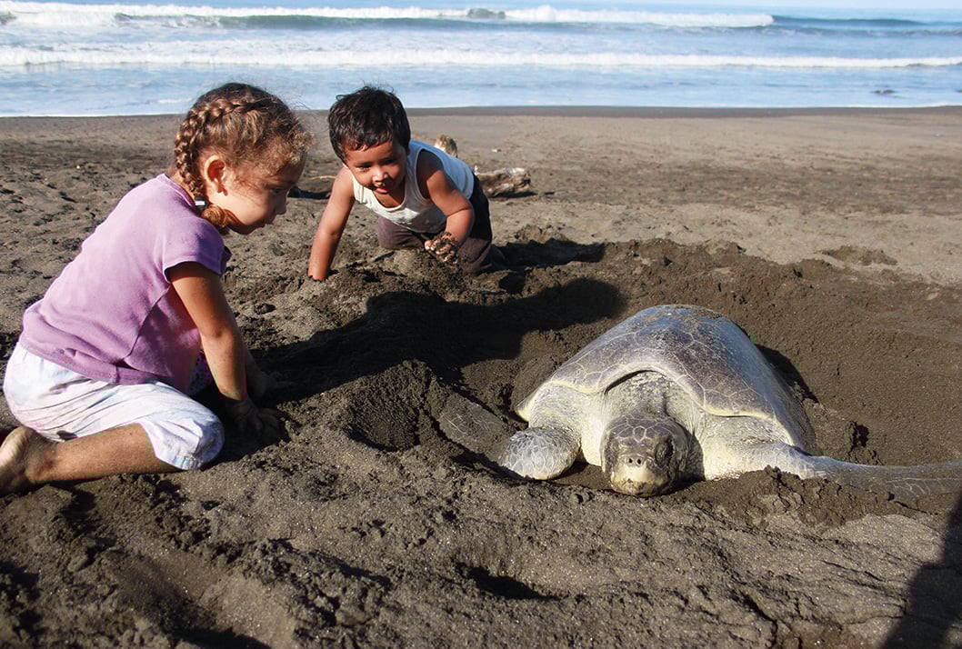 niños-tortugas Tamarindo - Avellanas