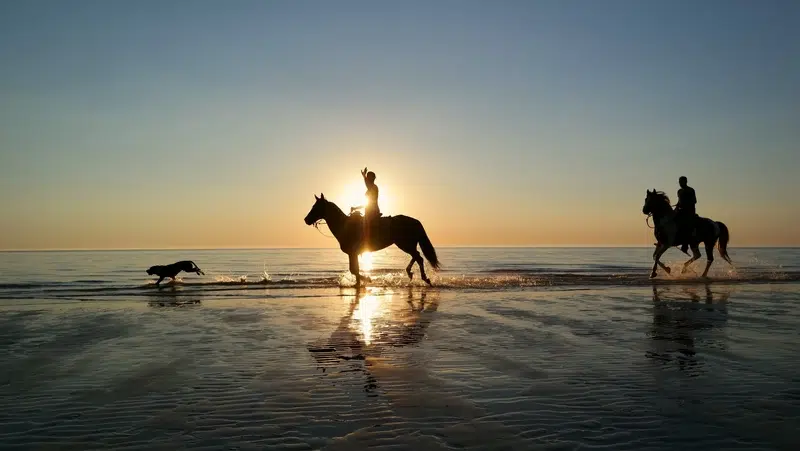 In Costa Rica, you can horseback ride and take surf lessons all in the same location!