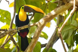 Playa Blanca, Costa Rica