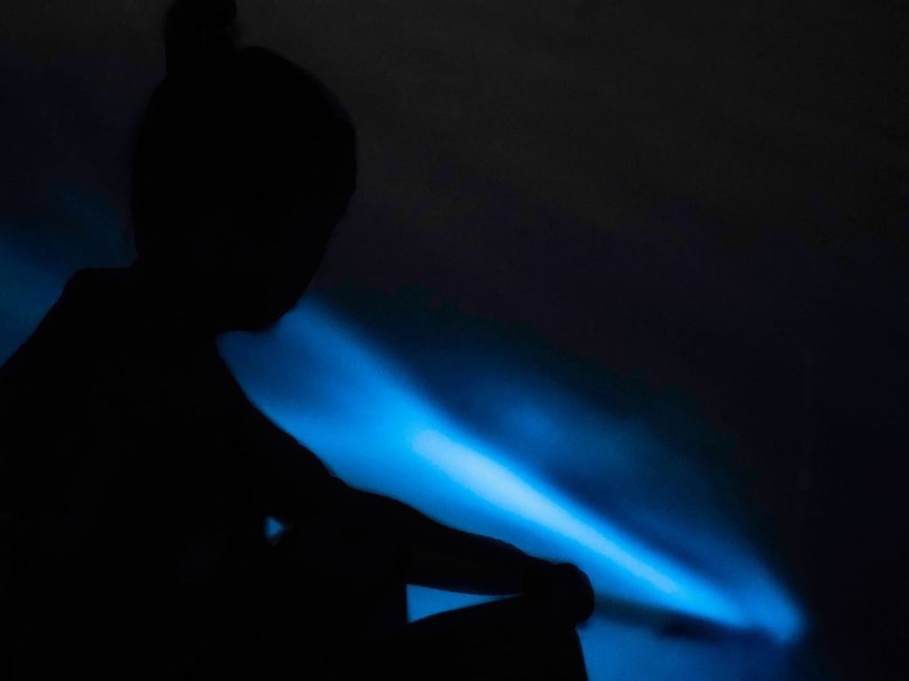 Nightscapes: Bioluminescence & Sea Life
