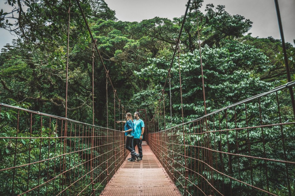 Explore Monteverde on hanging bridges and see the rainforest canopy from a whole new perspective!