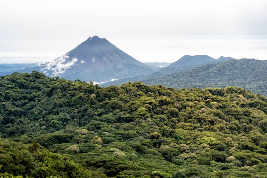 Travel to Monteverde Cloud Forest – Stay at Poco a Poco Hotel