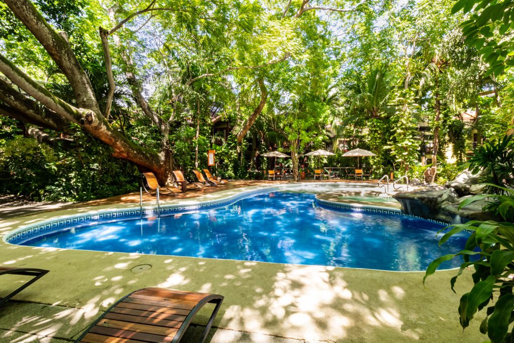 Transfer to Bosque del Mar, Playa Hermosa | Guanacaste