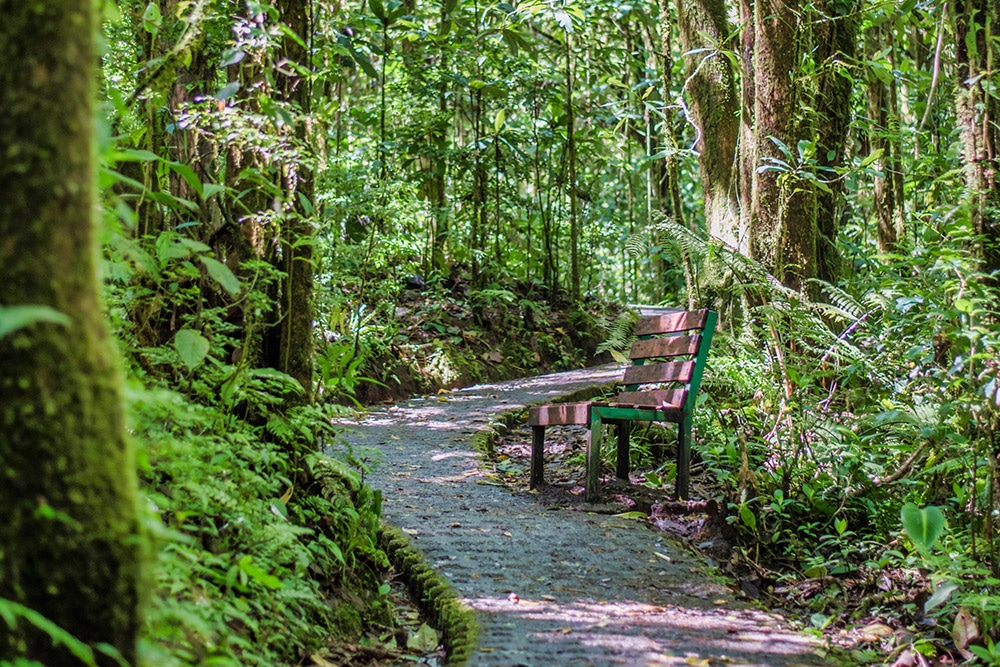 Selvatura Monteverde Guided Hanging Bridges 
